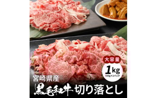 牛肉＆豚肉切り落としセット【合計3kg】 K16_0057_2