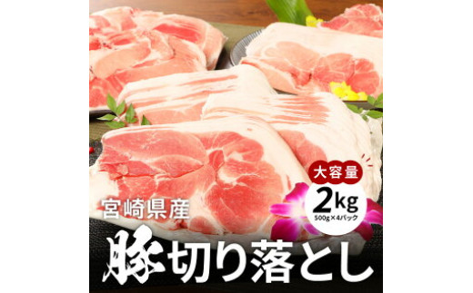 牛肉＆豚肉切り落としセット【合計3kg】 K16_0057_2