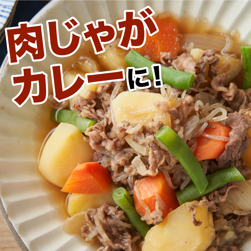 宮崎県産黒毛和牛 贅沢切り落とし1kg(500g×2)×6回定期便 K16_T015