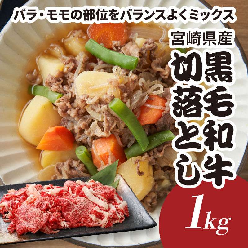 福袋 木城町 お肉いろいろお楽しみセットB K16_0070_3