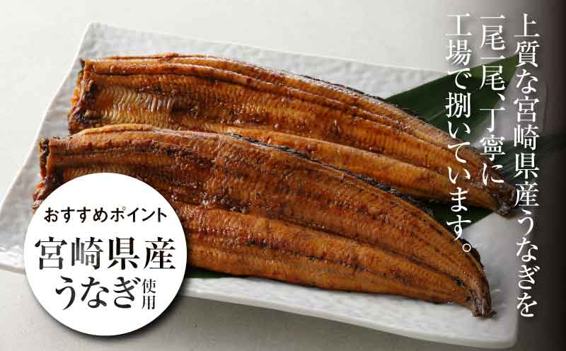 宮崎県産 うなぎ 蒲焼き 5尾セット K10_0011_2 