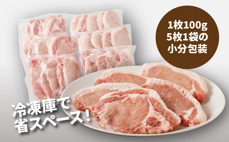 贅沢宮崎県産豚肉ロース100gカット30枚 K16_0018_2