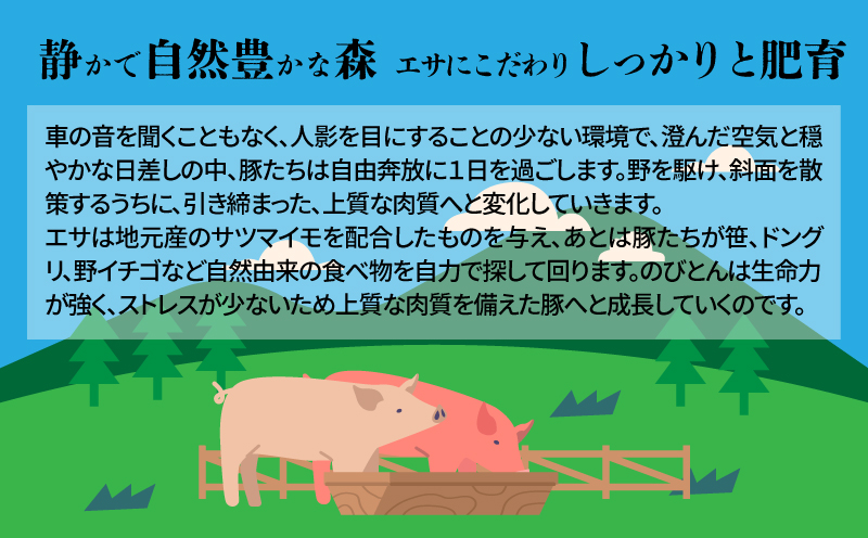 放牧豚「のびとん」スライスセット！500ｇ×2パック K25_0007_2