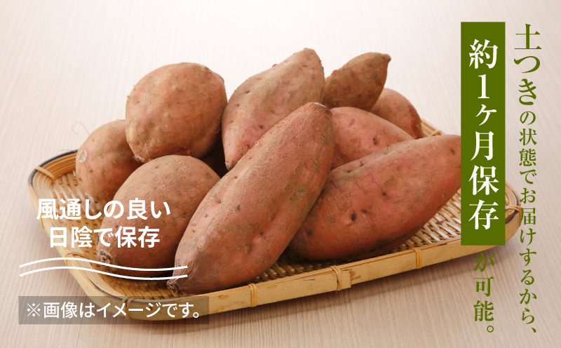 農家直送　木城町産　熟成安納いも5kg K30_0001_1