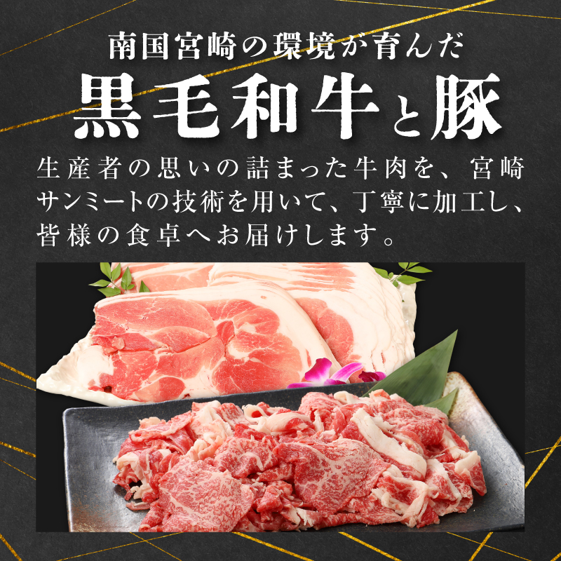 牛肉・豚肉交互にお届け！【6か月定期便】 K16_T003_3