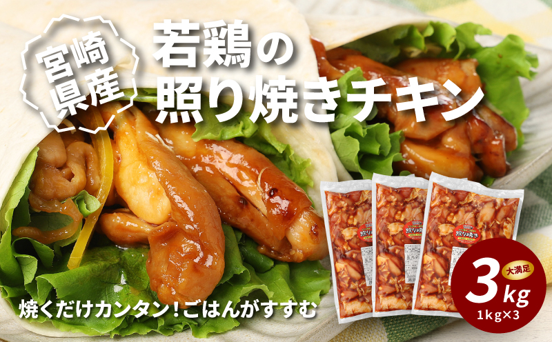 宮崎県産若鶏の照り焼きチキン K16_0059_2