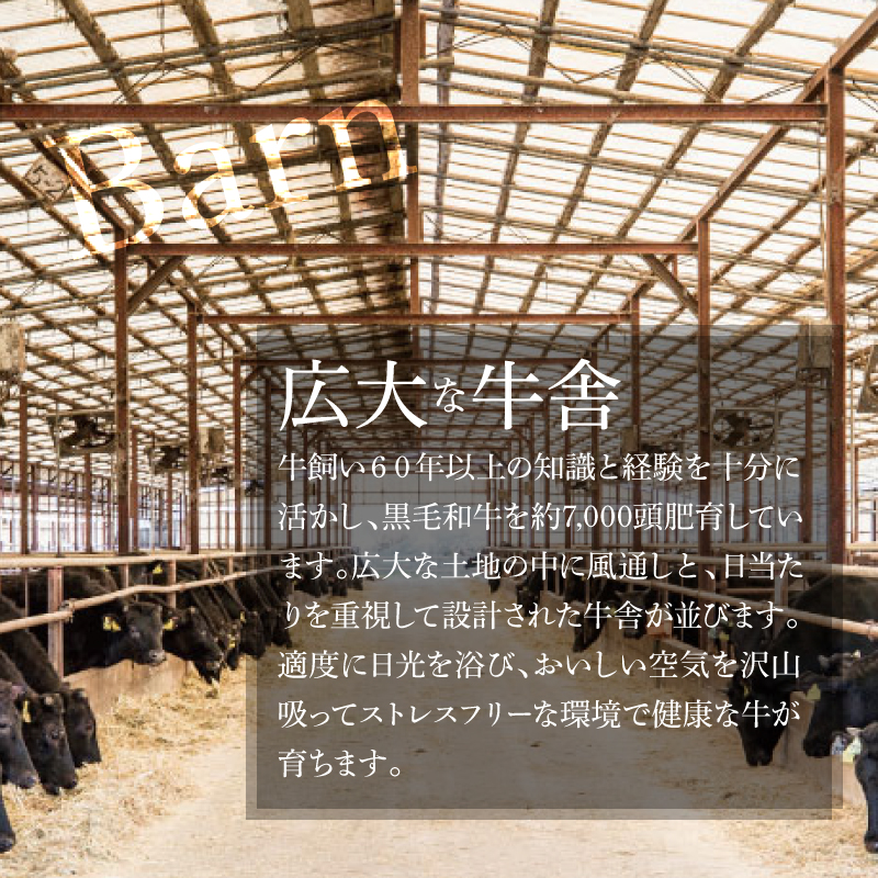 宮崎ＥＭＯ黒毛和牛 すき焼き用 ローススライス 500g K20_0017_3