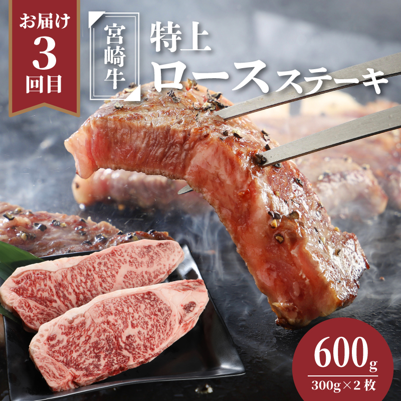 宮崎県産黒毛和牛食べ比べ定期便【3か月定期便】K16_T006_1