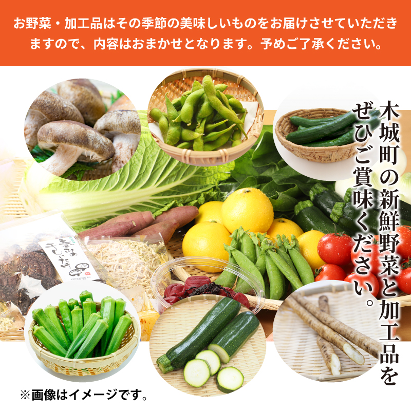 木城町産農産物と加工品セット K04_0001_2