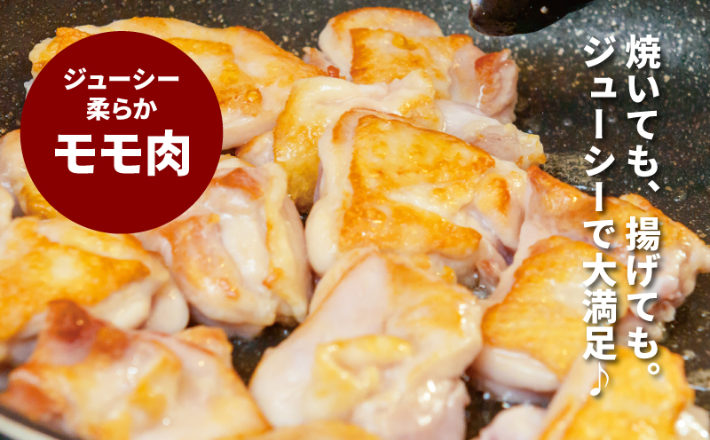 宮崎県産 スペシャル鶏三昧　小分け　4.7kg　K16_0113