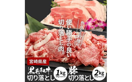 牛肉＆豚肉切り落としセット【合計3kg】 K16_0057_2