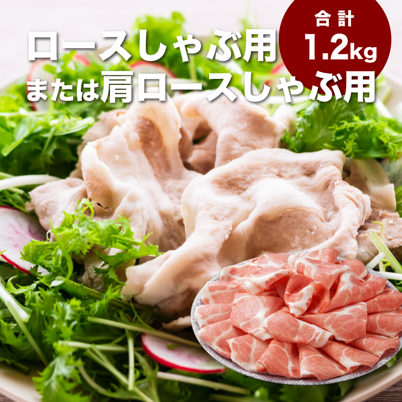 宮崎県産豚肉3.8kgセット K65_0008