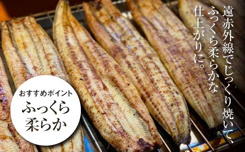 宮崎県産 うなぎ 白焼き 5尾セット K10_0012_2 