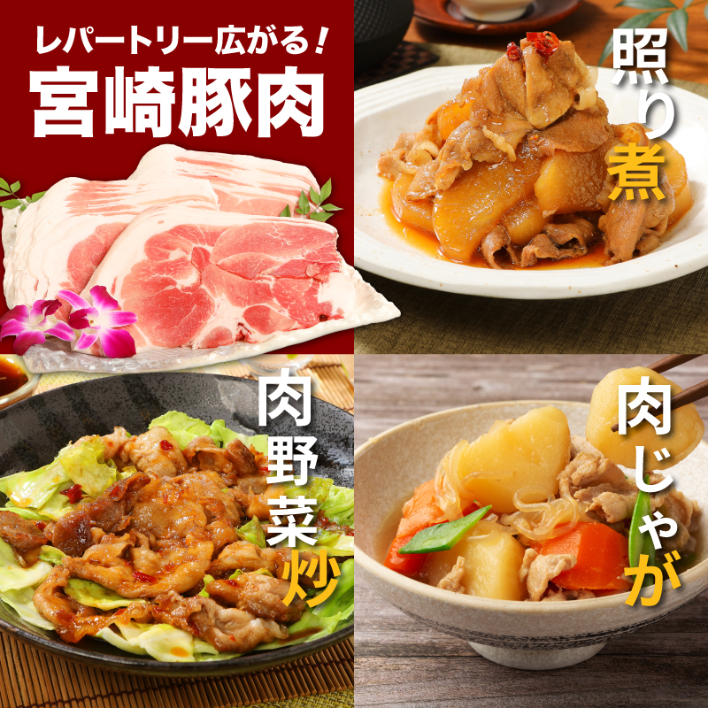 牛肉・豚肉交互にお届け！【6か月定期便】 K16_T003_3