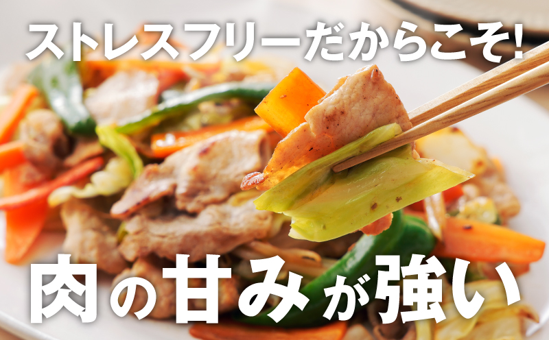 放牧豚「のびとん」スライスセット！500ｇ×2パック K25_0007_2