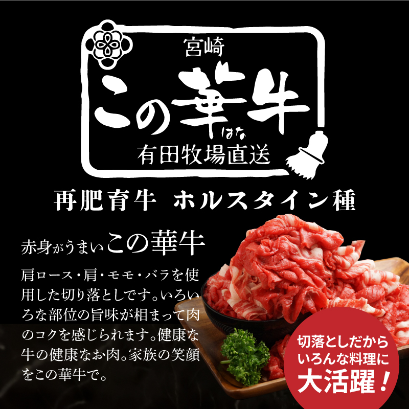 有田牧場直送　この華牛切落したっぷり 800ｇ K20_0002_3