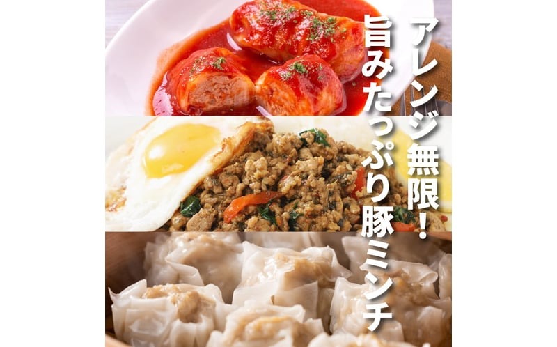 福袋 木城町 お肉いろいろお楽しみセットC K16_0071_2