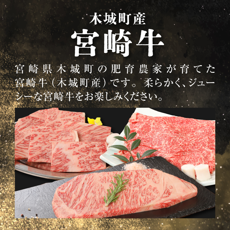 宮崎牛食べ比べセット３回定期便（3回コース・満足) K01_T01
