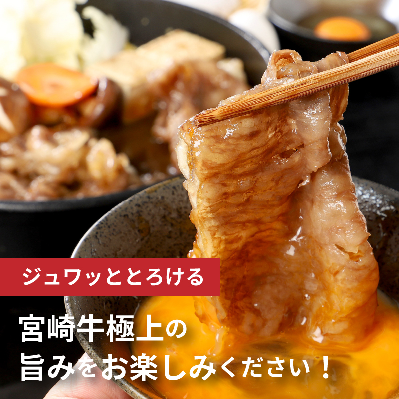 宮崎牛ロースすき焼き　500ｇ×1パック K16_0046_2
