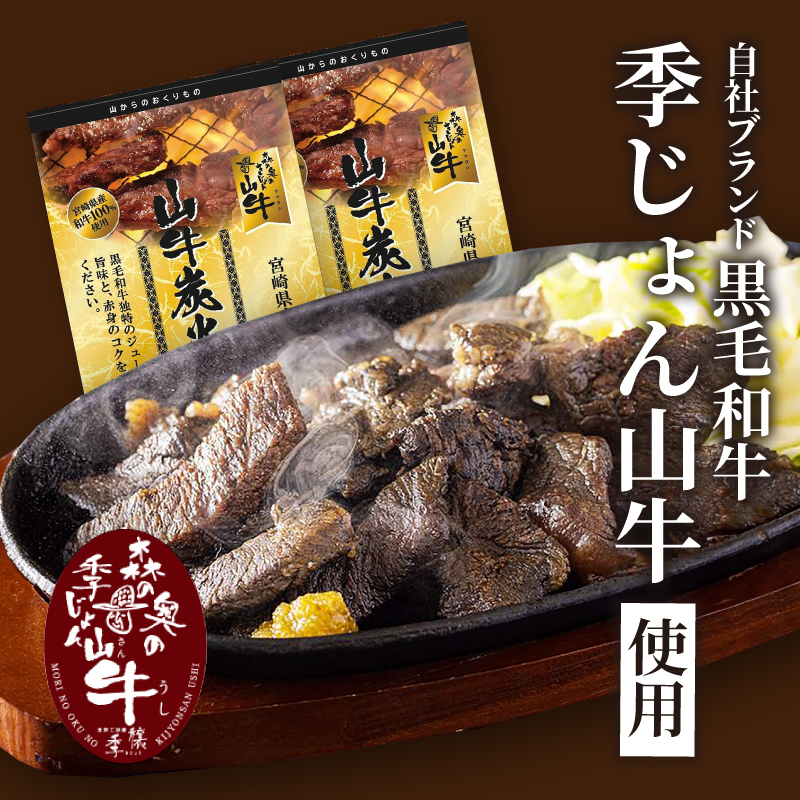 福袋 お楽しみレトルト詰め合わせ14パックセット K16_0073_2 4種類のレトルト食品 パウチ レトルトカレー 牛丼の具 ハンバーグカレー 牛肉の炭火焼き 常温保存 湯煎調理 ご当地グルメ 時短一人暮らし 保存 常温食 便利 送料無料