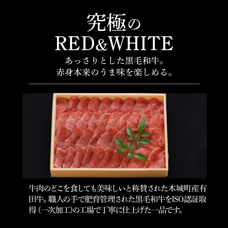 木城白木八重牧場育ちの黒毛和牛厳選焼肉 600g K20_0012_3