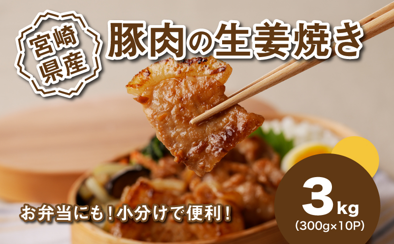 簡単調理　宮崎県産豚肉の生姜焼き 3kg（300g×10P） K16_0147