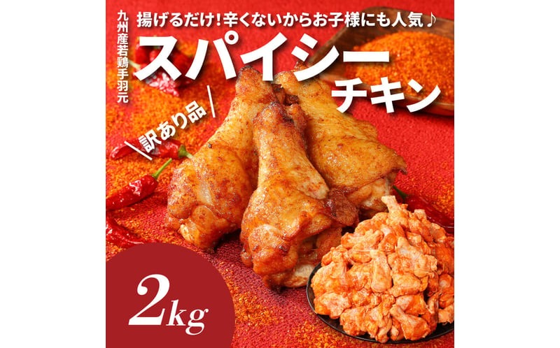 福袋 木城町 お肉いろいろお楽しみセットC K16_0071_2