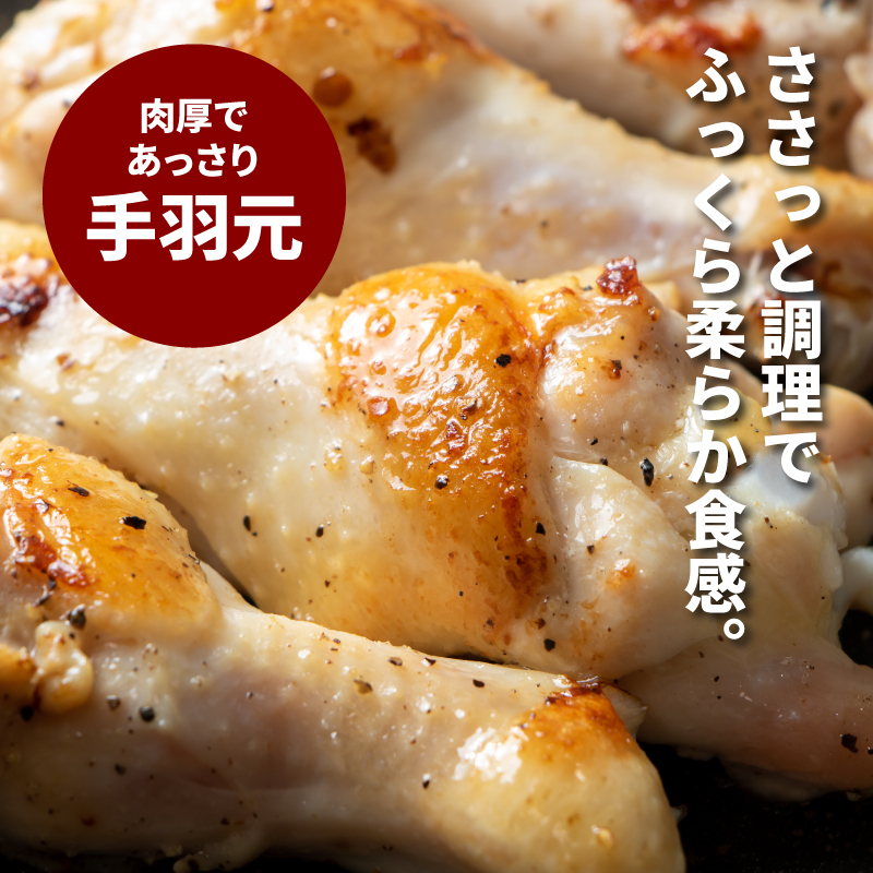 宮崎県産鶏 スペシャル鶏三昧5kgセット K16_0017_4