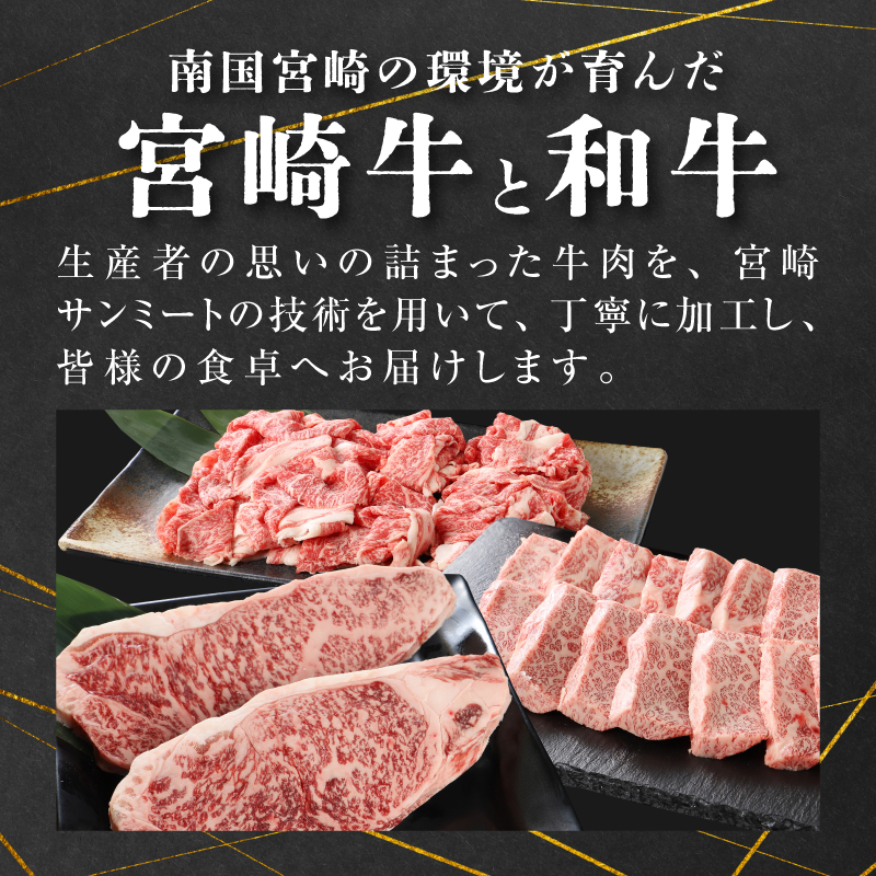 宮崎県産黒毛和牛食べ比べ定期便【3か月定期便】K16_T006_1