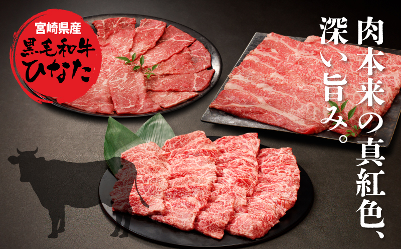 3回定期便 宮崎県産 ブランド牛「黒毛和牛ひなた」 K34_T001_1