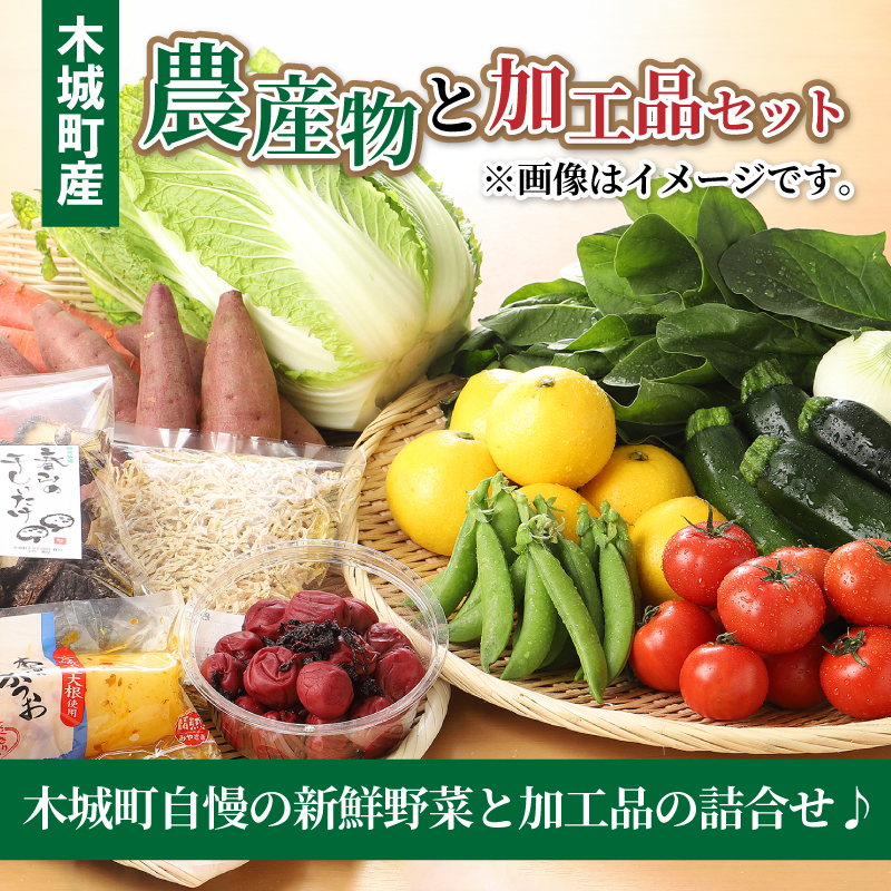 木城町産農産物と加工品セット K04_0001_2
