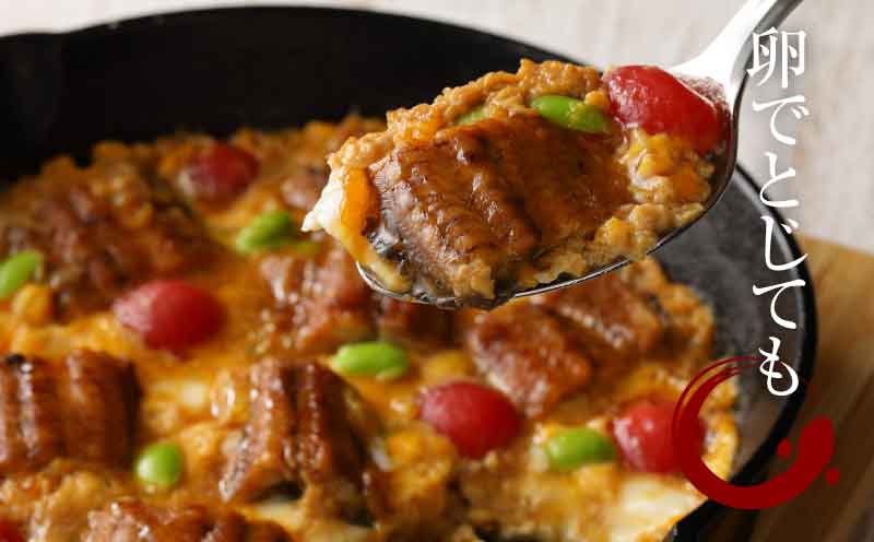 宮崎県産 うなぎ 白焼き 蒲焼き 4尾セット K10_0013_2 