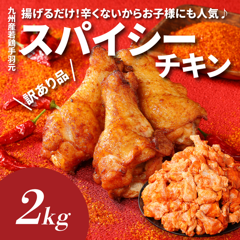 福袋 木城町 お肉いろいろお楽しみセットA K16_0069_3