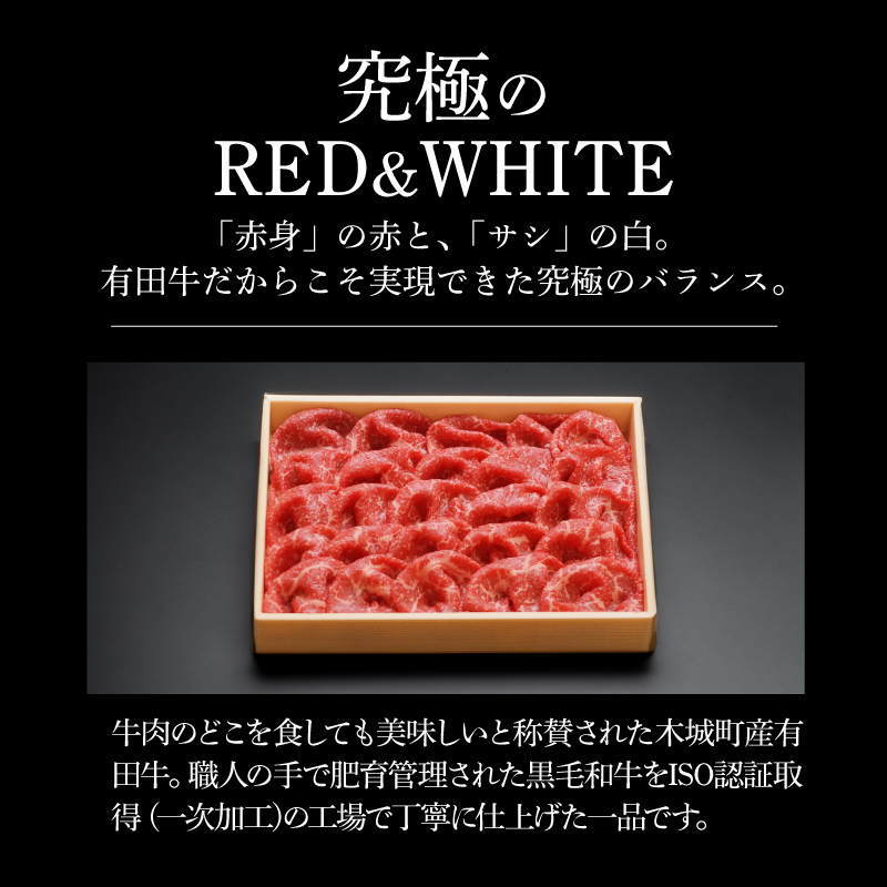 宮崎ＥＭＯ黒毛和牛 すき焼き用上スライス 600g K20_0013_3