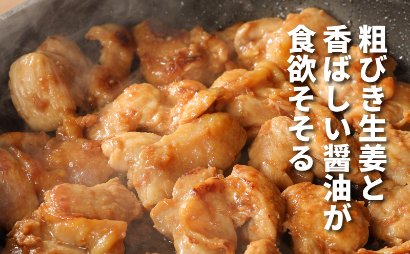 宮崎県産若鶏の生姜焼き 小分け 6kg K16_0133