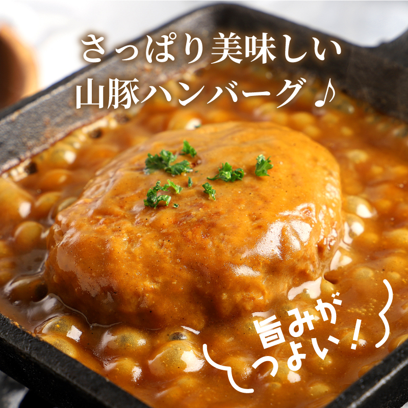 レトルト ハンバーグカレー 9パック K16_0042_2