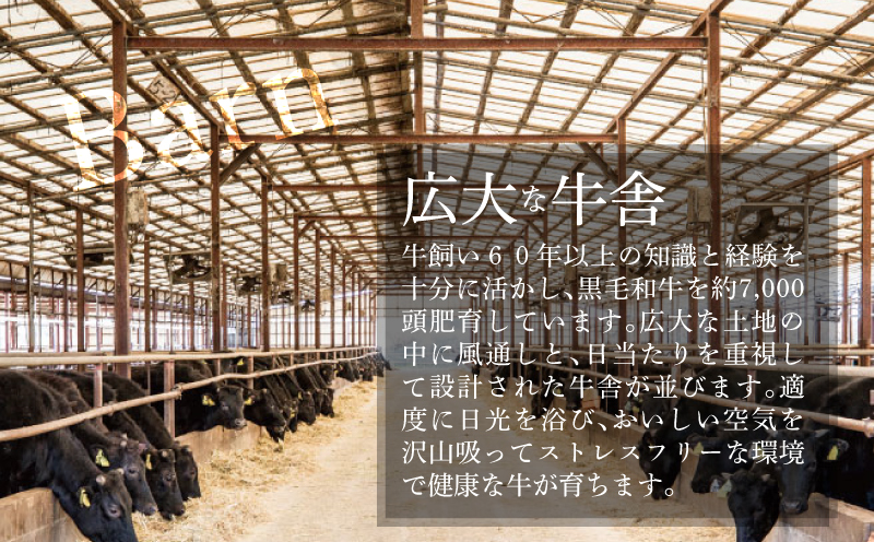 有田牧場直送この華牛切り落とし900g  ３ヶ月定期便　K20_T001_1