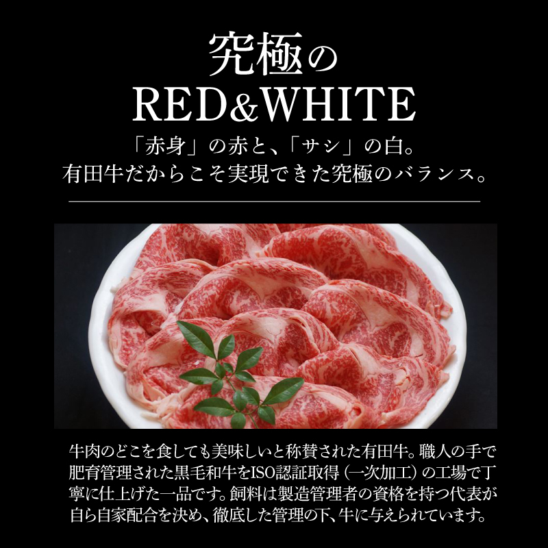 宮崎ＥＭＯ黒毛和牛 すき焼き用 ローススライス 500g K20_0017_3