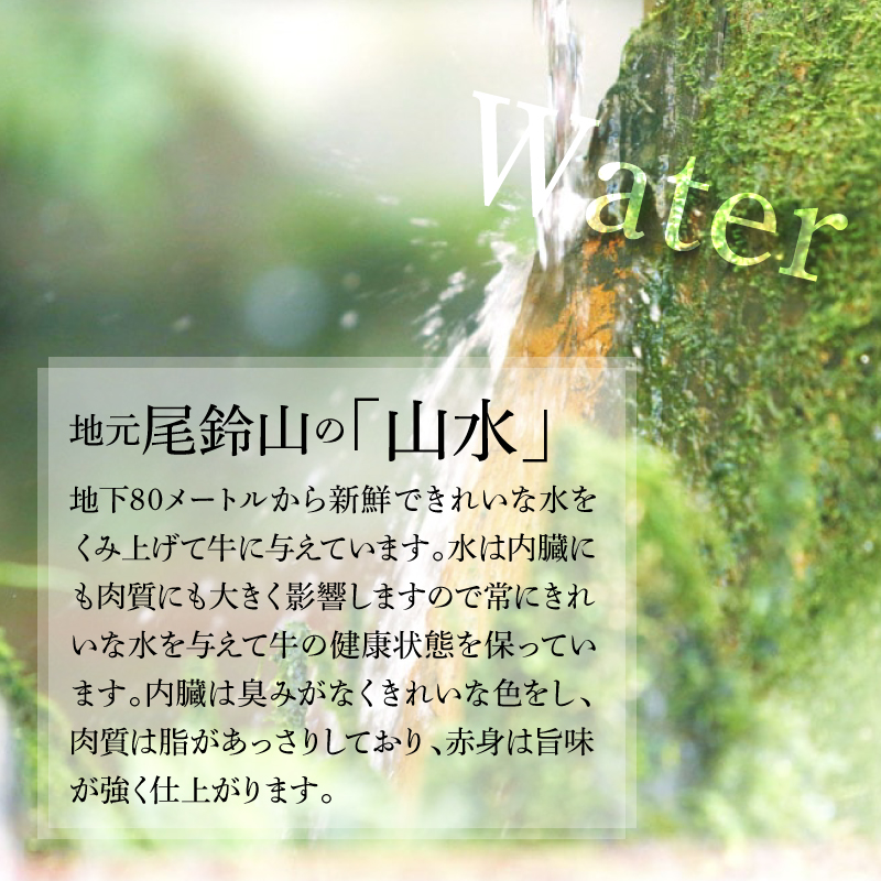 木城白木八重牧場育ちの黒毛和牛贅沢の極み芯柱グリムキサーロインステーキ360ｇ K20_0008_2