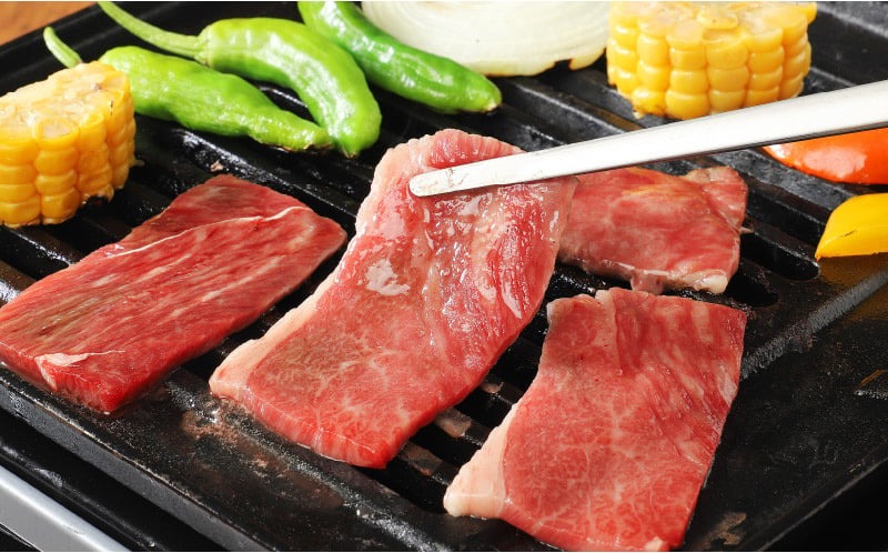 宮崎牛 肩（ウデ） 焼肉500ｇ   K18_0017_7