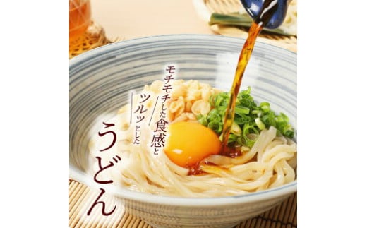 ＜養生麺うどん詰合せ 12袋入り＞ K10_0002_2