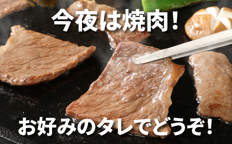 宮崎牛 肩ロース焼肉600ｇ  K18_0037_5