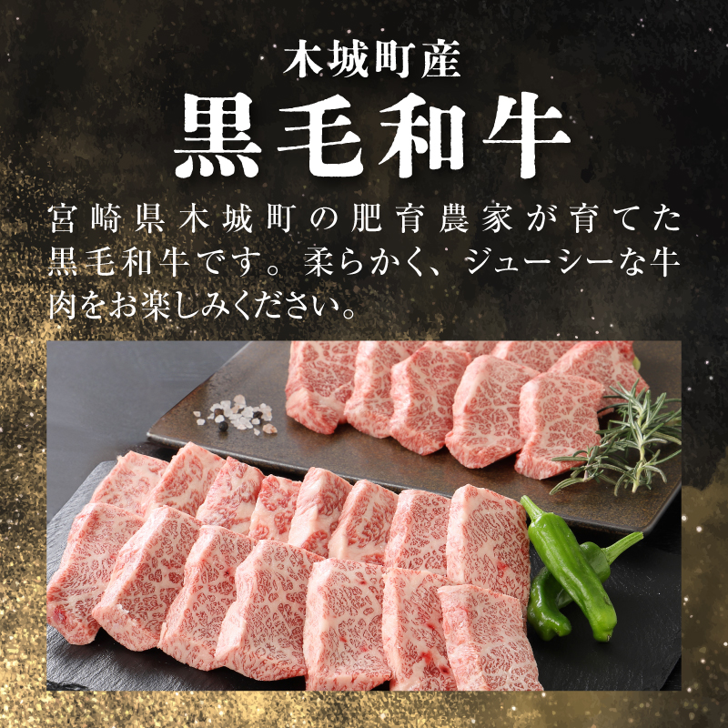 宮崎県産黒毛和牛 特上焼肉用500gと焼肉のたれセット K16_0006_1