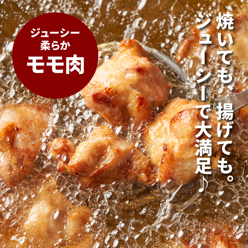 宮崎県産鶏 スペシャル鶏三昧5kgセット K16_0017_4