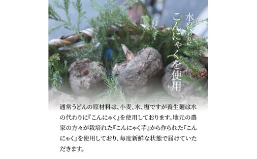 ＜養生麺うどん詰合せ 12袋入り＞ K10_0002_2