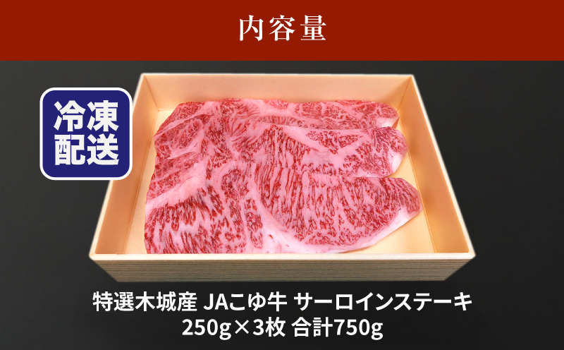JAこゆ牛 特選木城産 サーロインステーキ 750g_K56_0001