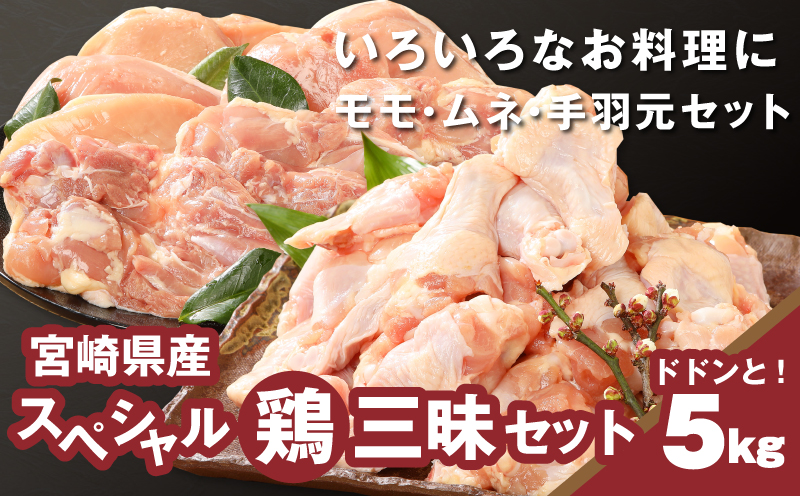 宮崎県産鶏 スペシャル鶏三昧5kgセット K16_0017_4