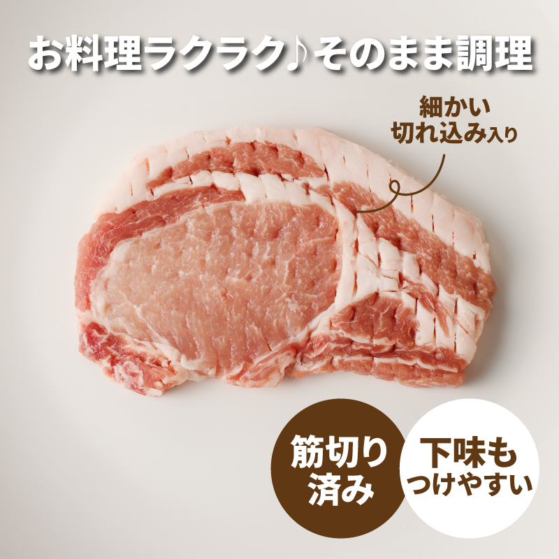 贅沢宮崎県産豚肉ロース100gカット20枚 K16_0150
