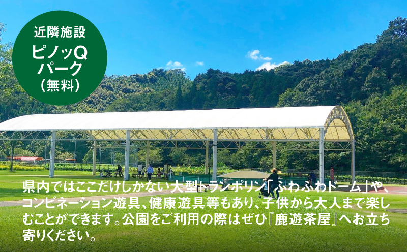 木城町　郷の駅「鹿遊茶屋（かなすみちゃや）」お食事券　1,000円分　K04_0006