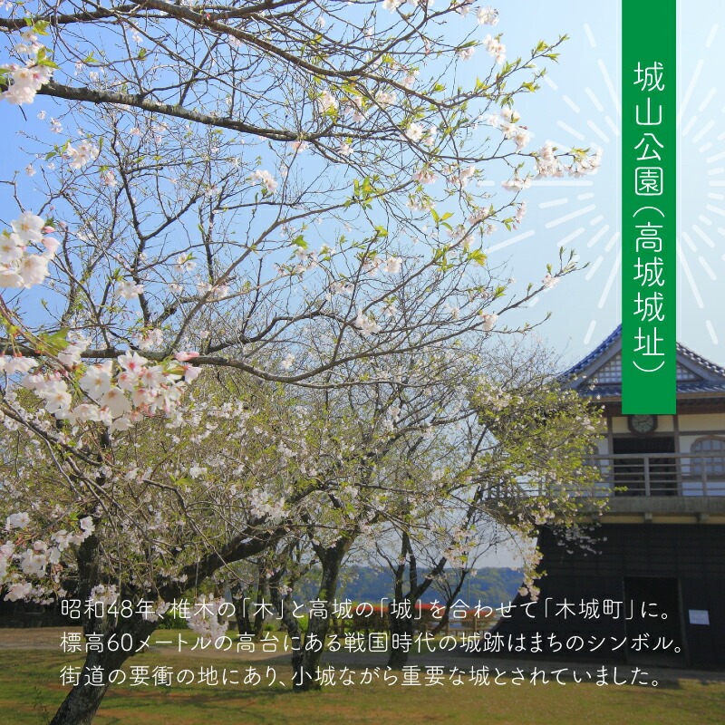 【宮崎県木城町】寄付のみの応援受付(返礼品はございません) 3000円_ K00_0005